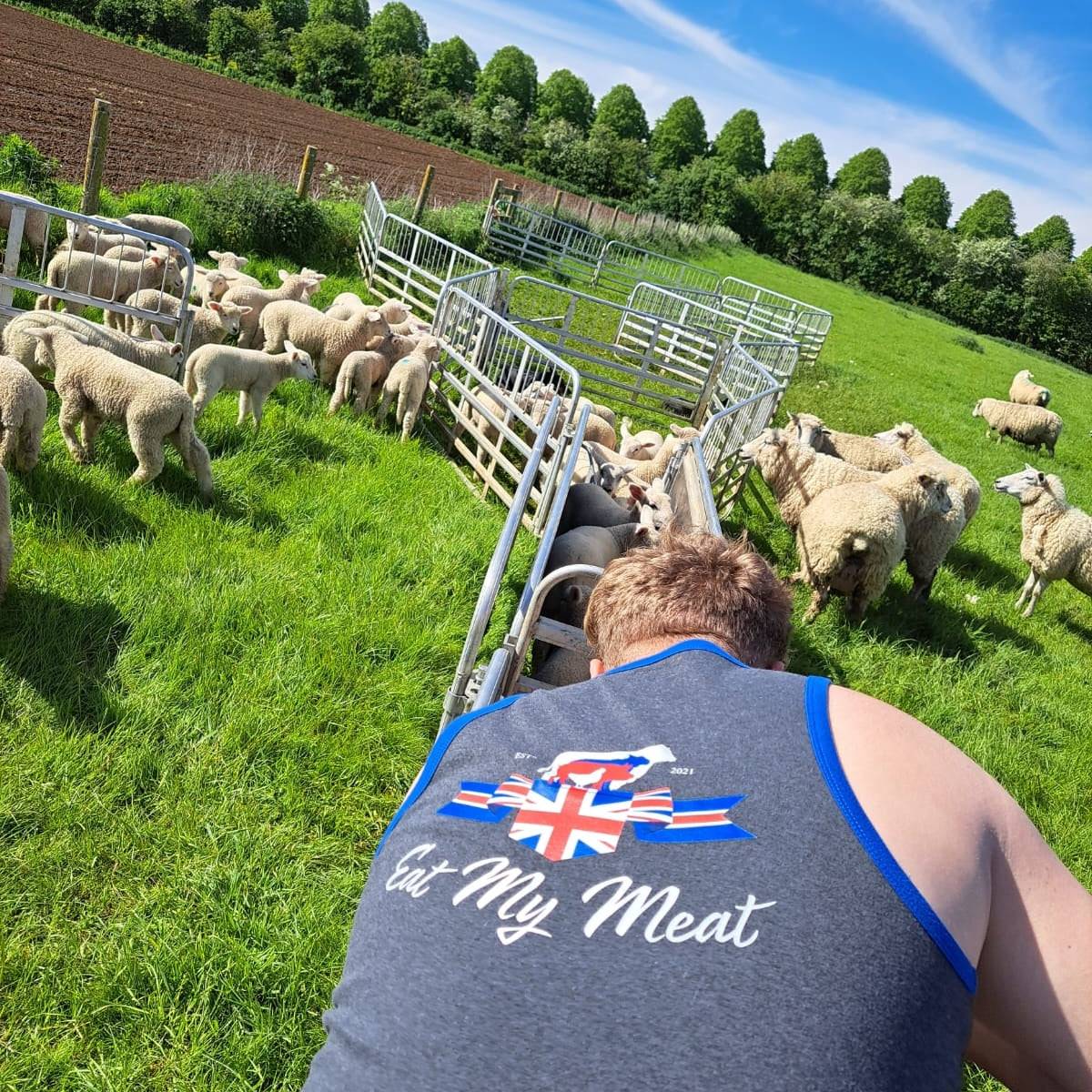 Long-tail shearing singlet
