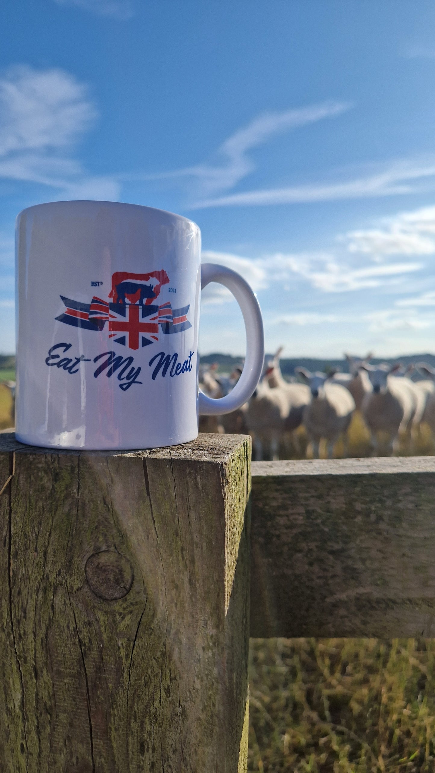 Mug